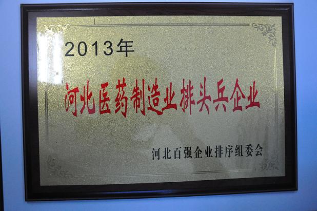 藥都製藥集團(tuán)股份有限公司被評(píng)為2013年河北醫(yī)藥製造業(yè)排頭兵企業(yè)