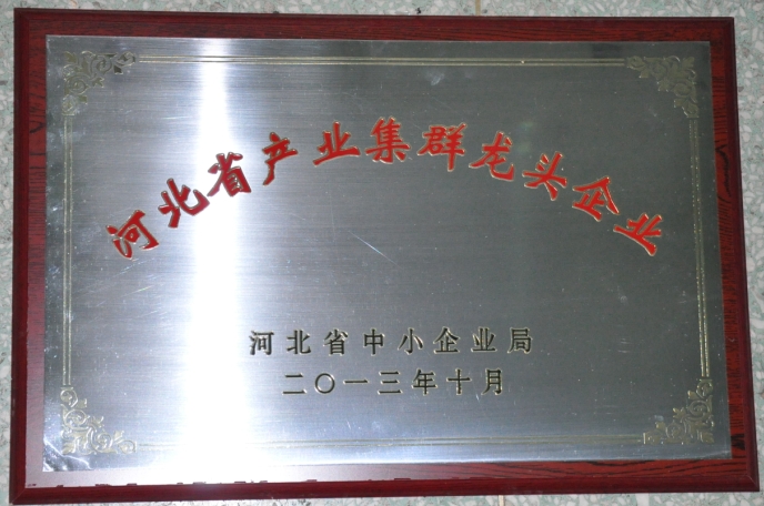 藥都集團(tuán)被評(píng)為「河北省產(chǎn)業(yè)集群龍頭企業(yè)」