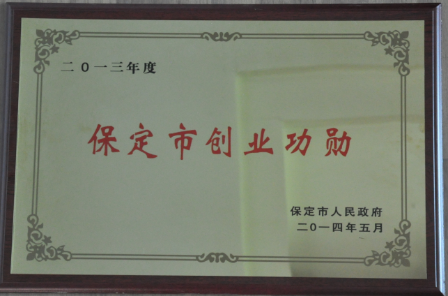 李曉恩董事長(zhǎng)榮獲「2013年度保定創(chuàng)業(yè)功勳」稱(chēng)號(hào)