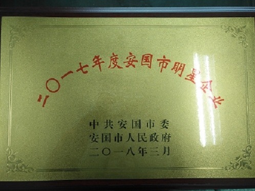 我公司被安國(guó)市委、市政府評(píng)為二〇一七年度明星企業(yè)